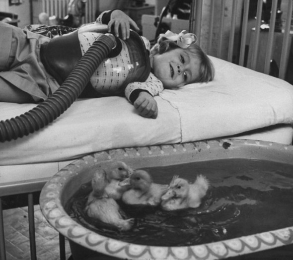 Animalele sunt utilizate ca parte a terapiei medicale, 1956